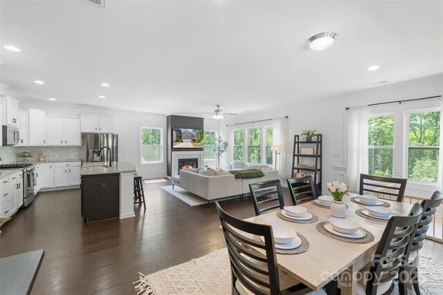 dining space with plenty of natural light, dark wood-style flooring, ceiling fan, and a warm lit fireplace