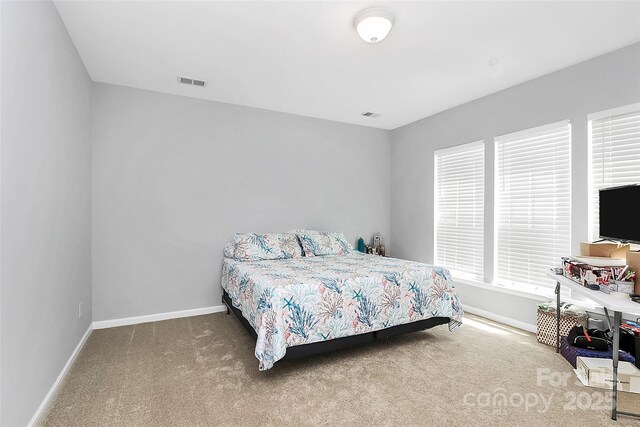18020 Owl Ct, Indian Land, SC 29707 - bedroom with visible vents, carpet flooring, and baseboards