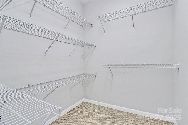 18020 Owl Ct, Indian Land, SC 29707 - photo 21