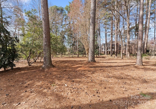 107 Waterhouse Ct, Mooresville, NC 28117 - photo 37