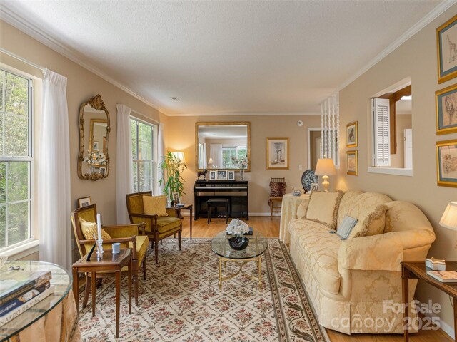 living area featuring light wood-type flooring and crown molding