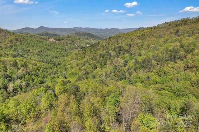 231 Brighton Dr, Bostic, NC 28018