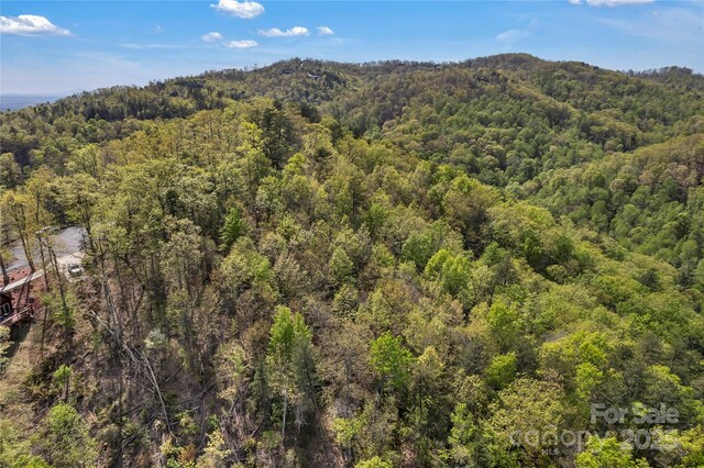 231 Brighton Dr, Bostic, NC 28018