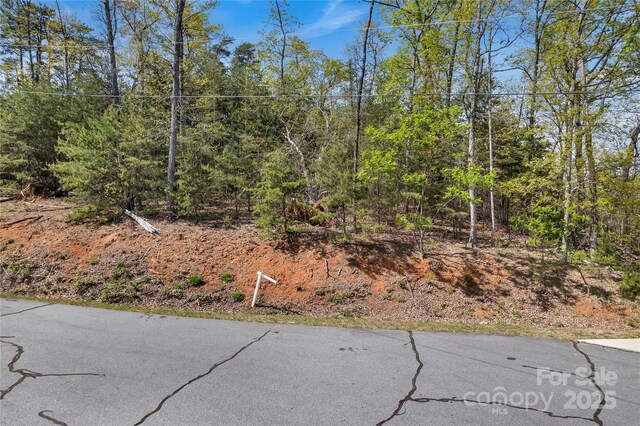 231 Brighton Dr, Bostic, NC 28018