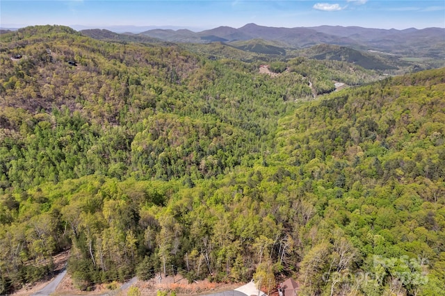 231 Brighton Dr, Bostic, NC 28018