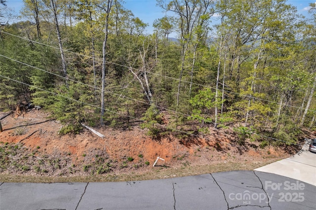 231 Brighton Dr, Bostic, NC 28018