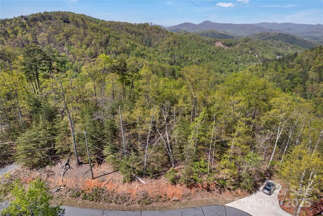 231 Brighton Dr, Bostic, NC 28018