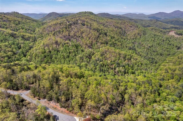 231 Brighton Dr, Bostic, NC 28018