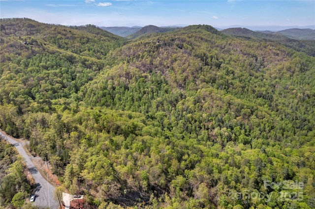 231 Brighton Dr, Bostic, NC 28018