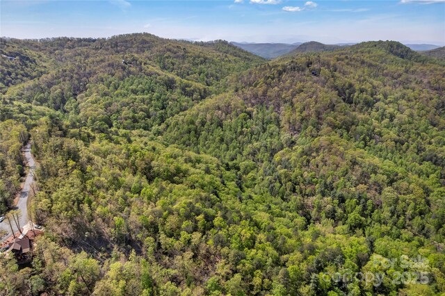 231 Brighton Dr, Bostic, NC 28018