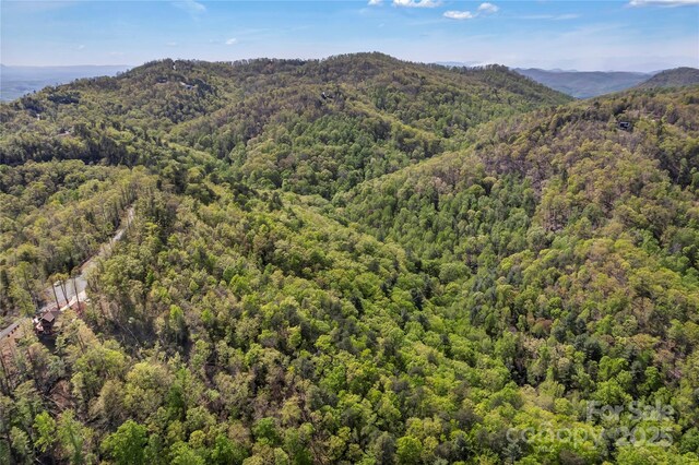 231 Brighton Dr, Bostic, NC 28018