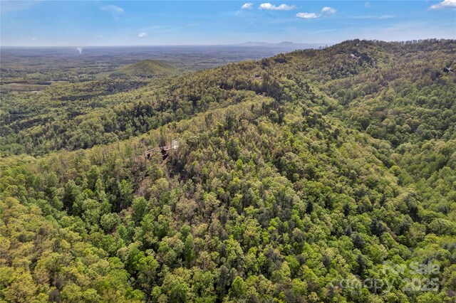 231 Brighton Dr, Bostic, NC 28018
