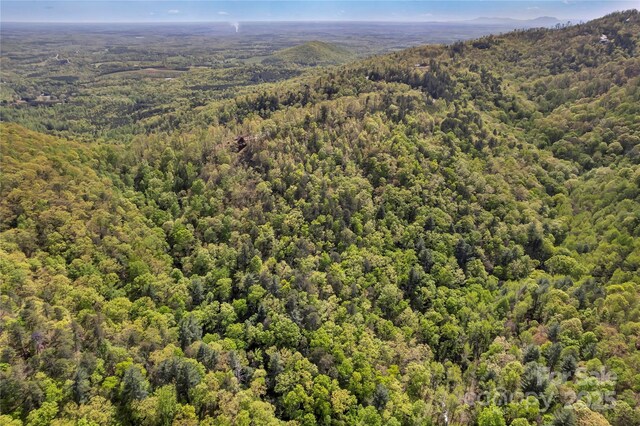 231 Brighton Dr, Bostic, NC 28018