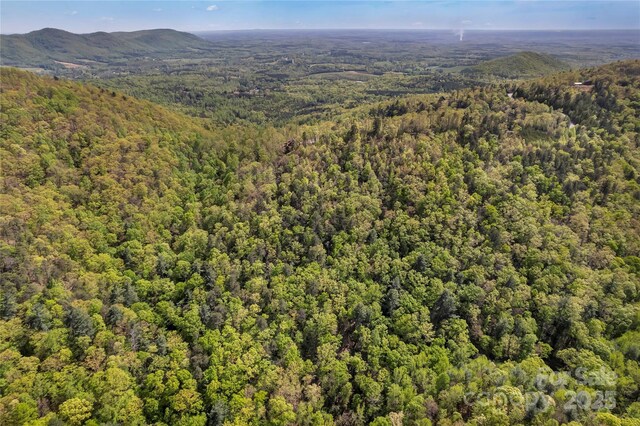 231 Brighton Dr, Bostic, NC 28018