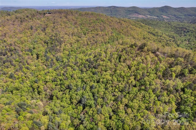 231 Brighton Dr, Bostic, NC 28018