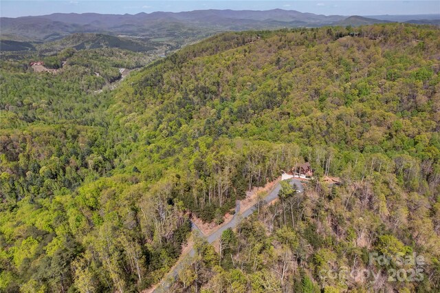 231 Brighton Dr, Bostic, NC 28018