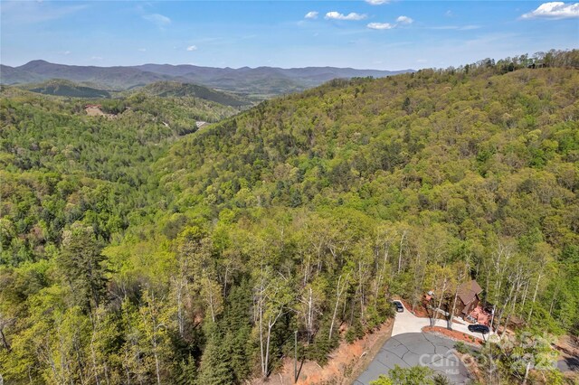 231 Brighton Dr, Bostic, NC 28018