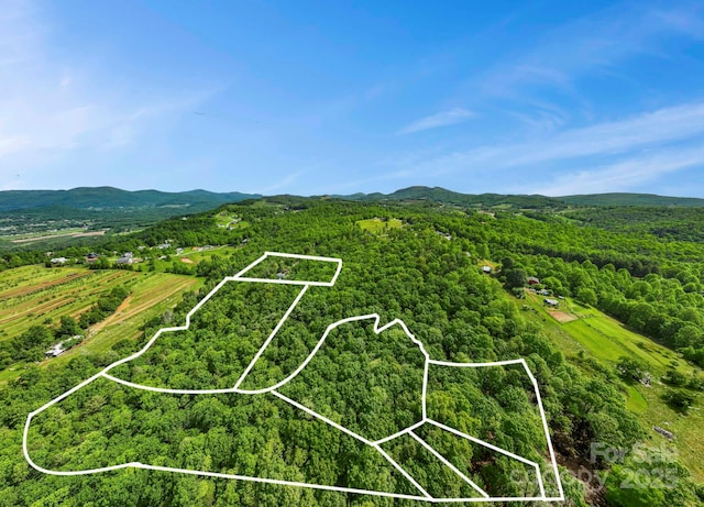 000 John Delk Rd Unit 2 & 6, Hendersonville, NC 28792 - photo 13