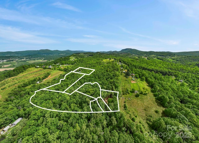 000 John Delk Rd Unit 2 & 6, Hendersonville, NC 28792 - photo 14