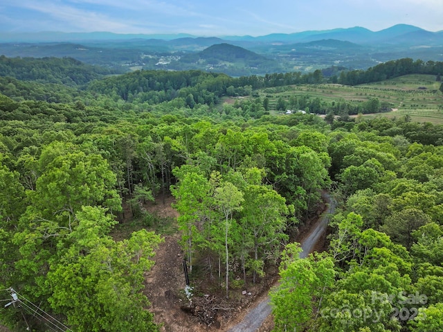 000 John Delk Rd Unit 2 & 6, Hendersonville, NC 28792 - photo 18