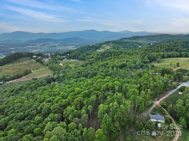 000 John Delk Rd Unit 2 & 6, Hendersonville, NC 28792 - photo 19