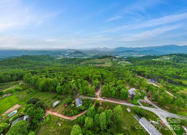 000 John Delk Rd Unit 2 & 6, Hendersonville, NC 28792 - photo 23