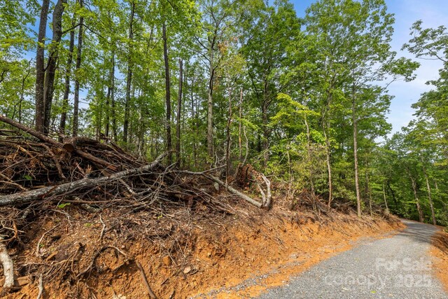 000 John Delk Rd Unit 2 & 6, Hendersonville, NC 28792 - photo 24