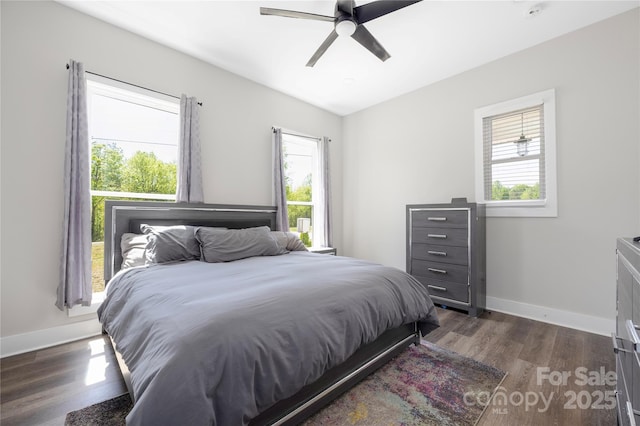5028 Lewis Rd, Gastonia, NC 28052 - bedroom with multiple windows, dark wood-style flooring, and baseboards