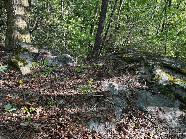 000 John Delk Rd Unit 3, Hendersonville, NC 28792 - photo 16