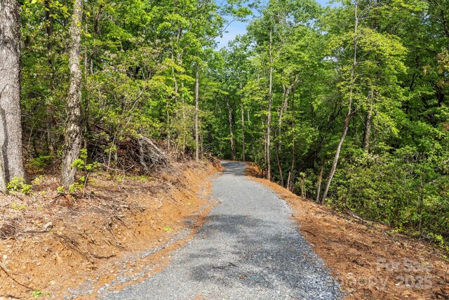 000 John Delk Rd Unit 3, Hendersonville, NC 28792 - photo 30