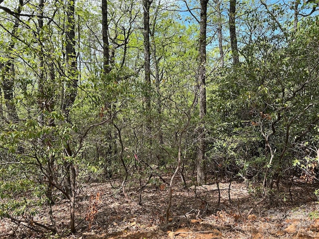 000 John Delk Rd Unit 3, Hendersonville, NC 28792 - photo 2
