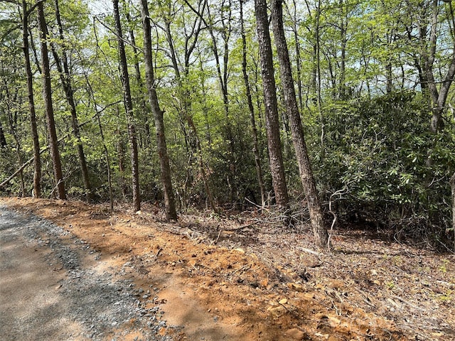 000 John Delk Rd Unit 3, Hendersonville, NC 28792 - photo 3