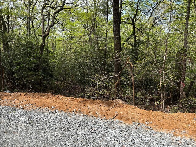 000 John Delk Rd Unit 3, Hendersonville, NC 28792 - photo 4