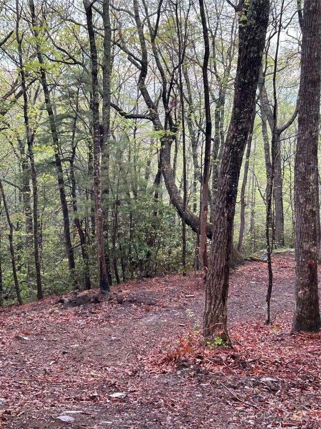 000 John Delk Rd Unit 3, Hendersonville, NC 28792 - photo 6