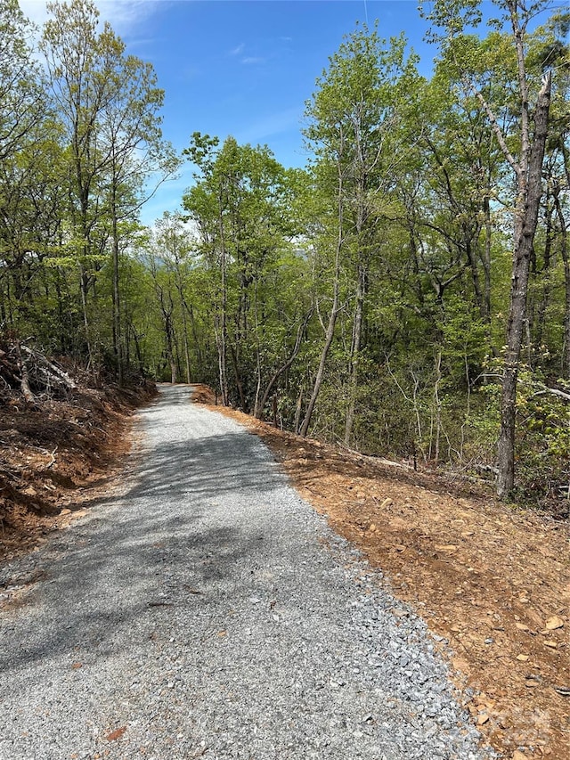 000 John Delk Rd Unit 3, Hendersonville, NC 28792 - photo 7