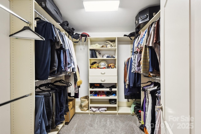 315 Arlington Ave Unit 1104, Charlotte, NC 28203 - walk in closet featuring carpet