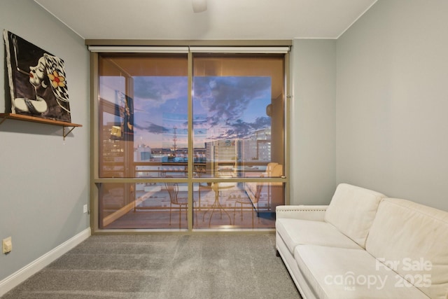315 Arlington Ave Unit 1104, Charlotte, NC 28203 - living area with baseboards, a wall of windows, and carpet