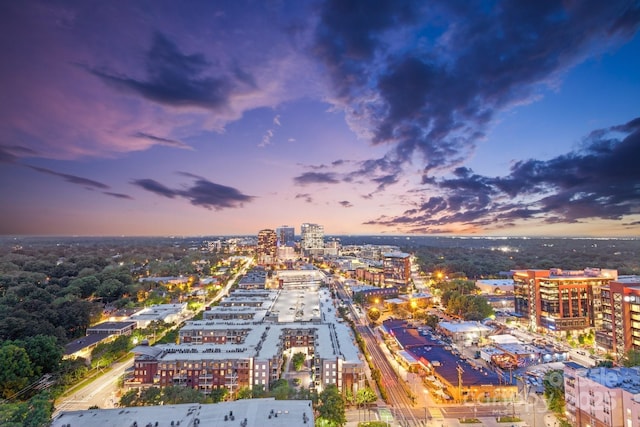 315 Arlington Ave Unit 1104, Charlotte, NC 28203 - aerial view featuring a city view