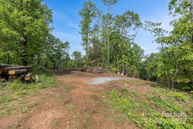 000 John Delk Rd Unit 4, Hendersonville, NC 28792 - photo 1