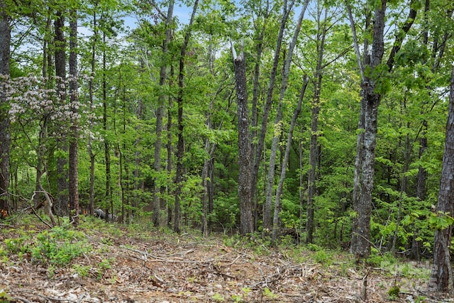000 John Delk Rd Unit 4, Hendersonville, NC 28792 - photo 27