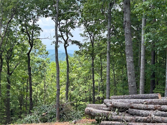 000 John Delk Rd Unit 4, Hendersonville, NC 28792 - photo 2
