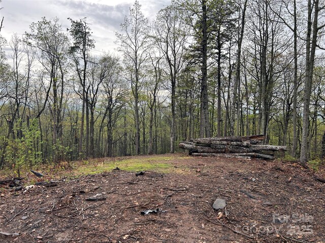 000 John Delk Rd Unit 4, Hendersonville, NC 28792 - photo 4