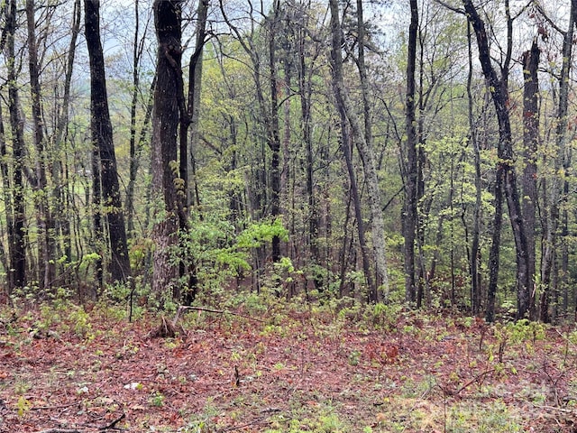 000 John Delk Rd Unit 4, Hendersonville, NC 28792 - photo 5