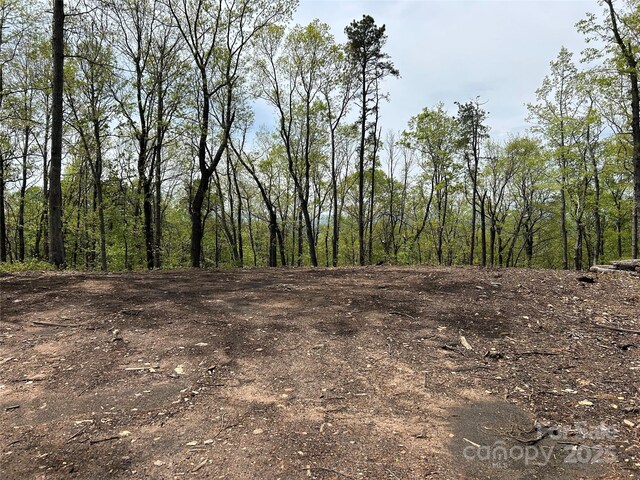 000 John Delk Rd Unit 4, Hendersonville, NC 28792 - photo 6