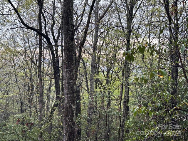 000 John Delk Rd Unit 4, Hendersonville, NC 28792 - photo 9