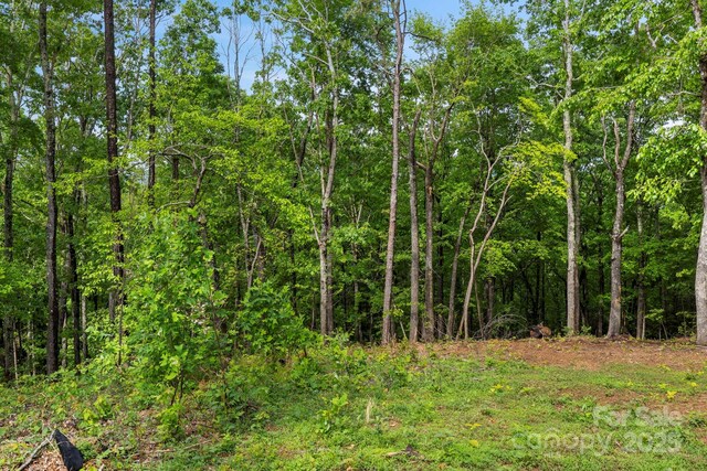 000 John Delk Rd Unit 4, Hendersonville, NC 28792 - photo 24