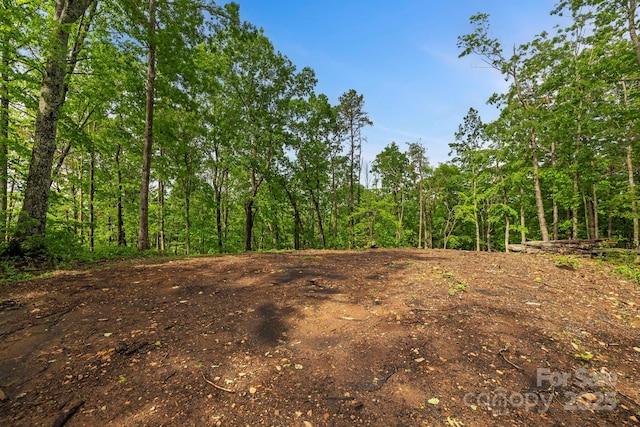 000 John Delk Rd Unit 4, Hendersonville, NC 28792 - photo 25