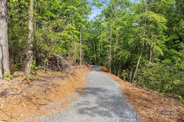 000 John Delk Rd Unit 4, Hendersonville, NC 28792 - photo 26