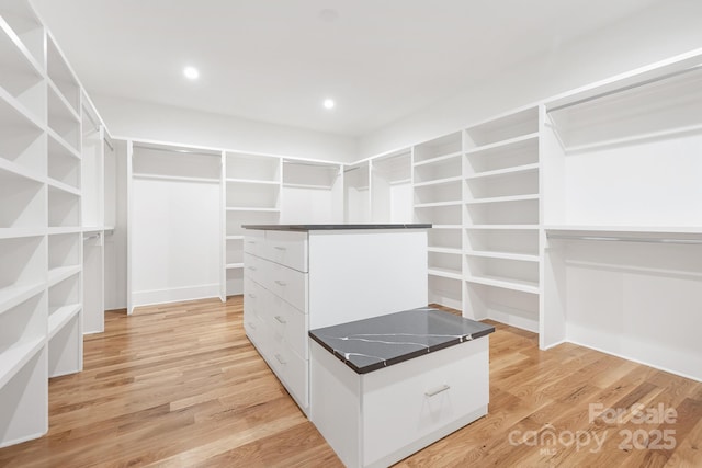 632 Dorothy Dr, Charlotte, NC 28203 - spacious closet featuring light wood-style flooring