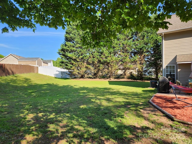 view of yard with a patio area and fence